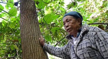 Asia-Pacific forest and farm producers pivotal to improving smallholder livelihoods and achieving regional SDGs in climate-resilient landscapes